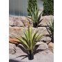 Agave furcraea gigantea artificiel CHERIE, vert-jaune, 100cm