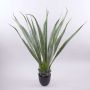 Agave furcraea gigantea artificiel CHERIE, vert-gris, 100cm