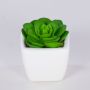 Echeveria elegans artificiel KATNISS, pot en céramique, vert, 6cm