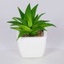 Aloe vera artificiel KATNISS, pot en céramique, vert, 9cm