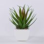 Agave decipiens artificiel KATNISS, pot en céramique, vert-rouge, 19cm