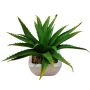 Aloe vera artificiel KATNISS, pot en céramique, vert, 19cm