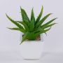 Aloe vera artificiel KATNISS, pot en céramique, vert, 19cm