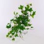 Lierre artificiel MAIDYS sur tige, vert, 50 cm