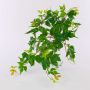 Plante artificielle « vigne vierge à trois pointes » ZANTI sur tige, vert-marron, 50 cm
