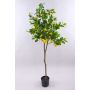 Citronnier artificiel AINSLEY avec des fruits, tronc artificiel, 150cm
