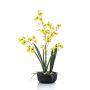 Fausse orchidée Oncidium DEISHA en coupe décorative, racines, jaune, 60cm
