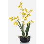 Fausse orchidée Oncidium DEISHA en coupe décorative, racines, jaune, 60cm