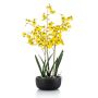 Fausse orchidée Oncidium DEISHA en coupe décorative, racines, jaune, 70cm