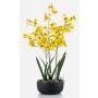 Fausse orchidée Oncidium DEISHA en coupe décorative, racines, jaune, 70cm