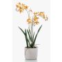 Orchidée Renanthera monachica artificielle BLANI dans un pot en céramique, racines, jaune-rose fuchsia, 55cm