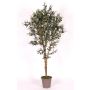 Olivier artificiel MIANA, troncs naturels, avec des fruits, 175cm - Made in Italy