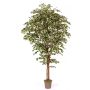 Ficus Benjamina artificiel LINETTE, troncs naturels, vert-blanc, 200cm - Made in Italy