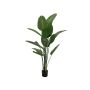 Plante artificielle Strelitzia PANAGIOTA, vert, 170cm