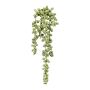 Plante succulente artificielle « pois » FERTIN, tige, gris-vert, 35 cm