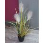 Herbe de la pampa NICOLAS avec panicules, vert-brun, 50cm