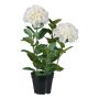 Fleur décorative Hortensia BINEFA, blanc, 60cm
