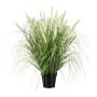 Fausse herbe Pennisetum RIVLA avec des panicules, crème, 65cm