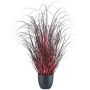 Fausse herbe Pennisetum setaceum TUNPA en pot décoratif, rouge foncé, 60cm