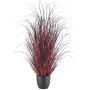 Fausse herbe Pennisetum setaceum TUNPA en pot décoratif, rouge foncé, 80cm