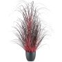 Fausse herbe Pennisetum setaceum TUNPA en pot décoratif, rouge foncé, 100cm