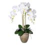 Orchidée Phalaenopsis en tissu FRIMTOR en pot en terre cuite, racines, blanc, 75cm