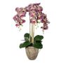 Orchidée Phalaenopsis en tissu FRIMTOR en pot en terre cuite, racines, vert-lilas, 75cm