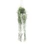 Panier suspendu avec Tillandsia Usneoides décoratif FRULD en pot décoratif, vert, 80cm
