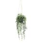 Suspension de plante succulente artificielle Senecio GRISTY en pot décoratif, retombant, vert, 55cm