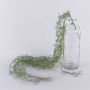 Tillandsia usneoides artificiel CEVIN, piquet, vert, 100cm