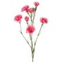 Branche de fleur artificielle d'œillet PIARA, rose vif, 60 cm, Ø 3-5 cm