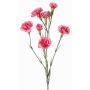 Branche de fleur artificielle d'œillet PIARA, fuchsia, 60cm, Ø3-5cm