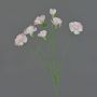 Branche de fleurs artificielles œillet PIARA, rose pâle, 60 cm, Ø 3-5 cm