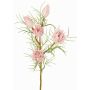 Branche décorative de protéa NOHEA, rose-blanc, 60 cm, Ø 3-6 cm