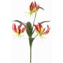 Fleur décorative Gloriosa XELA, rouge foncé-jaune, 50 cm, Ø 4-7 cm