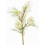 Branche décorative de protéa NOHEA, blanche, 60 cm, Ø 3-6 cm