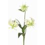 Fleur décorative Gloriosa XELA, blanc-vert, 50 cm, Ø 4-7 cm