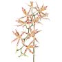 Orchidée Brassia artificielle ORELA, blanc-rouge, 90cm