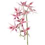 Orchidée Brassia artificielle ORELA, rose-fuchsia, 90cm