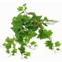 Fausse suspension de vigne LAHELA sur piquet, collection écologique, vert, 50cm