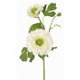 Branche de renoncule artificielle SAGARA, blanc-vert, 45cm, Ø5-9cm