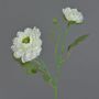 Branche de renoncule artificielle SAGARA, blanc-vert, 45 cm, Ø 5-9 cm