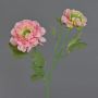 Branche artificielle de renoncule SAGARA, rose-vert, 45 cm, Ø 5-9 cm