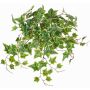 Suspension de lierre artificielle BESSIE sur piquet, collection écologique, vert-blanc, 55cm