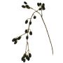 Branche décorative de mûre URUMA avec fruits, noire, 100 cm
