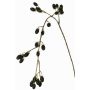 Branche décorative de mûre URUMA avec fruits, noire, 100cm