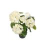 Géranium artificiel ELISABETTA dans un pot décoratif, blanc, 35 cm