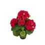 Fleur artificielle géranium ELISABETTA dans un pot décoratif, rose vif, 35 cm