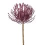 Fleur artificielle Leucospermum Protea ZIRMO, lilas, 50cm