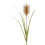 Panicule d'herbe de la pampa décorative JIRZA, piquet, brun, 105cm
